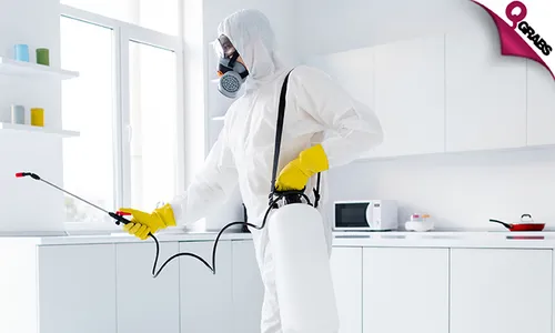 Pest Control Services!